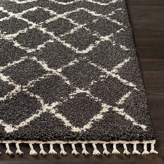 Surya Berber Shag BBE-2307 Area Rug 