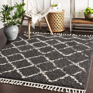 Surya Berber Shag BBE-2307 Area Rug