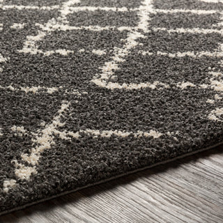 Surya Berber Shag BBE-2307 Area Rug Detail