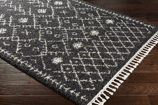 Surya Berber Shag BBE-2308 Area Rug