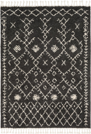 Surya Berber Shag BBE-2308 Area Rug main image