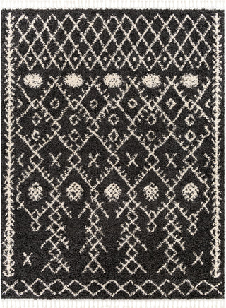 Surya Berber Shag BBE-2308 Area Rug Main