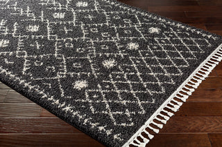 Surya Berber Shag BBE-2308 Area Rug Corner Shot