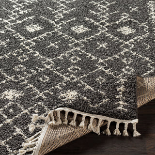 Surya Berber Shag BBE-2308 Area Rug 