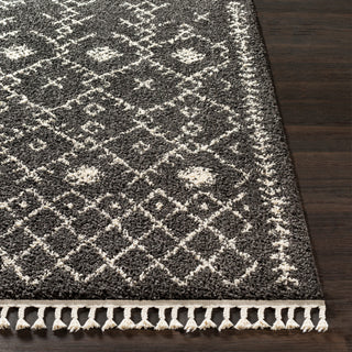 Surya Berber Shag BBE-2308 Area Rug 