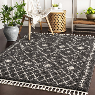 Surya Berber Shag BBE-2308 Area Rug