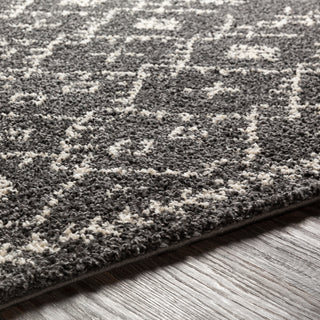 Surya Berber Shag BBE-2308 Area Rug Detail