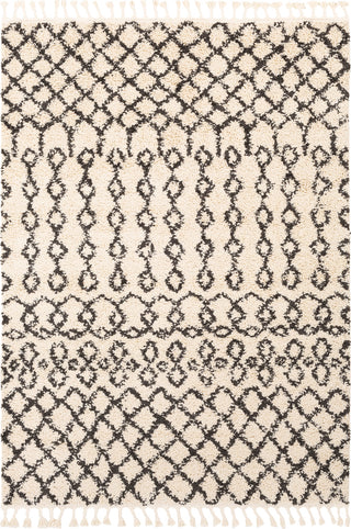 Surya Berber Shag BBE-2309 Area Rug main image