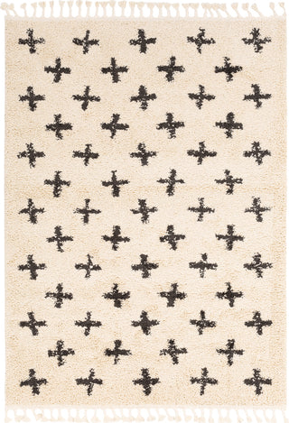 Surya Berber Shag BBE-2310 Area Rug main image