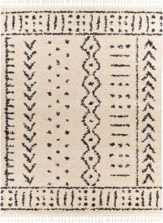 Surya Berber Shag BBE-2311 Area Rug Main