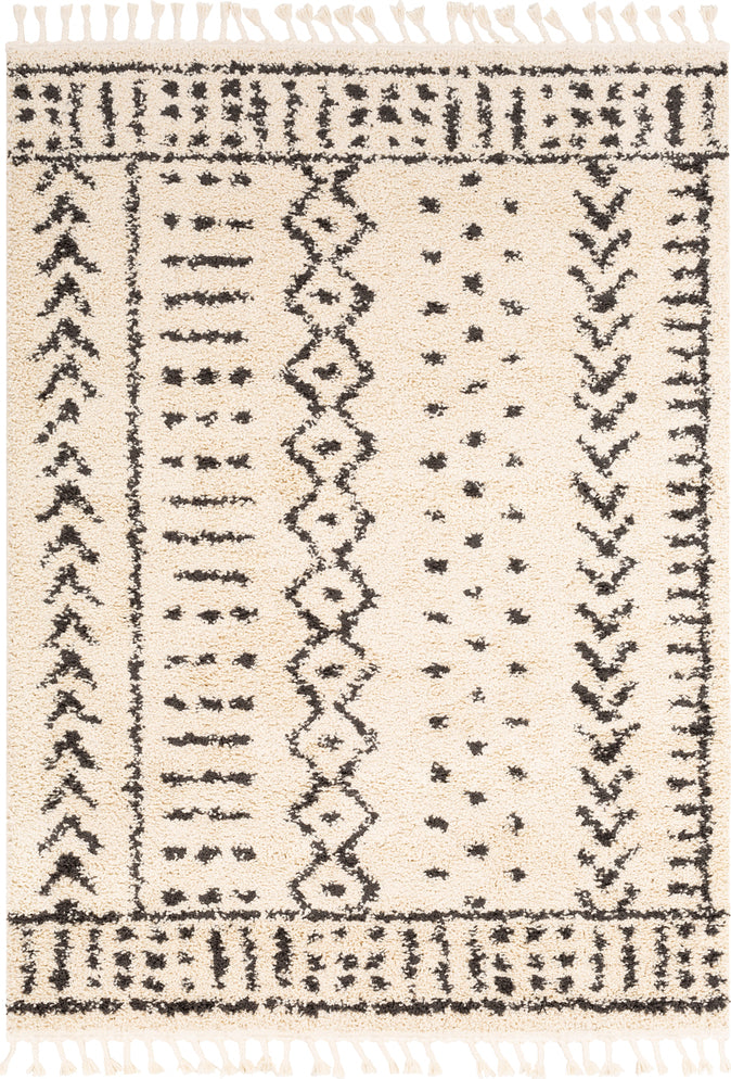 Surya Berber Shag BBE-2311 Area Rug main image