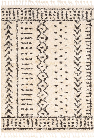 Surya Berber Shag BBE-2311 Area Rug main image