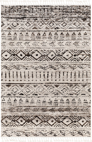 Surya Blackburn BBN-2302 Area Rug main image