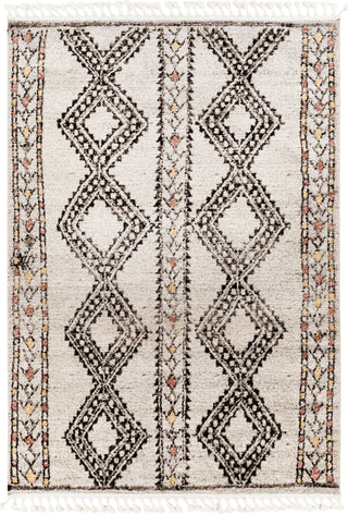 Surya Blackburn BBN-2307 Area Rug main image