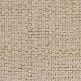 Surya Barcelona BCL-7000 Area Rug Sample Swatch