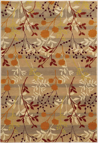 Rizzy Bradberry Downs BD8611 Multi Area Rug main image