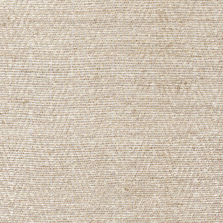 Surya Bodega BDG-2000 Hand Woven Area Rug Sample Swatch