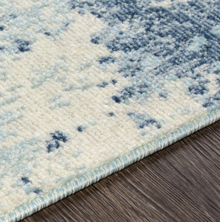 Surya Bodrum BDM-2302 Area Rug