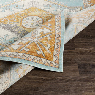 Surya Bodrum BDM-2314 Area Rug