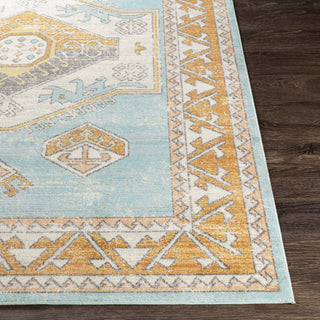 Surya Bodrum BDM-2314 Area Rug