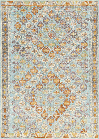 Surya Bodrum BDM-2317 Area Rug