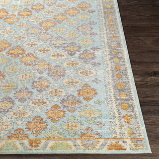 Surya Bodrum BDM-2317 Area Rug