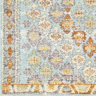 Surya Bodrum BDM-2317 Area Rug