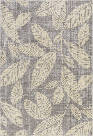 Surya Bodrum BDM-2322 Area Rug