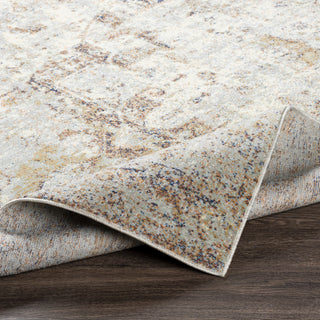 Surya Bodrum BDM-2326 Area Rug