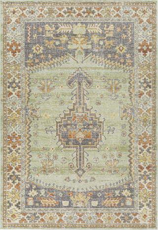 Surya Bodrum BDM-2334 Area Rug Main Image 5'3"x7'3"