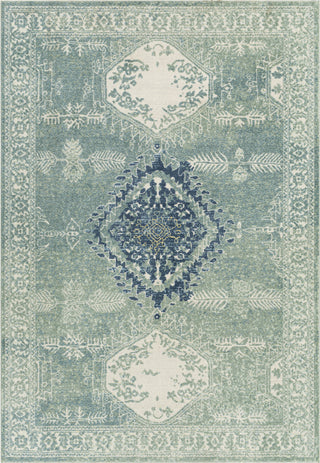 Surya Bodrum BDM-2336 Area Rug Main Image 5'3"x7'3"