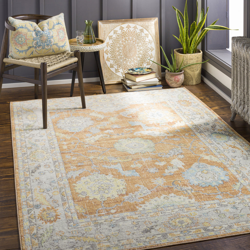 Surya Bodrum BDM-2338 Area Rug Room Scene Feature