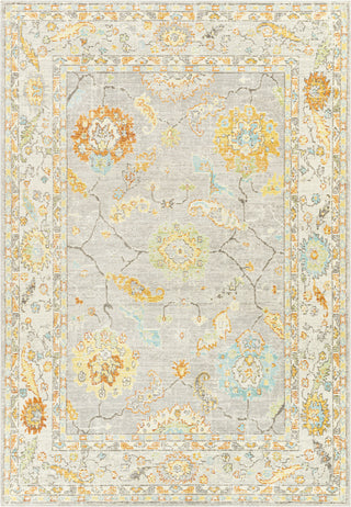 Livabliss Bodrum BDM-2339 Area Rug