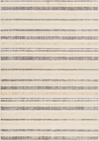 Surya Bodrum BDM-2342 Area Rug main image