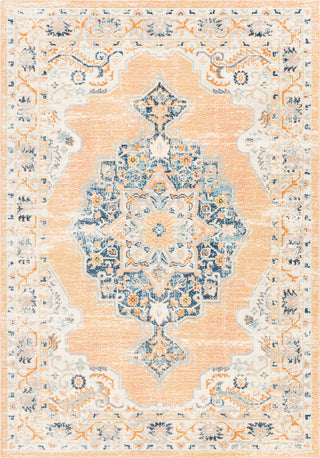 Surya Bodrum BDM-2344 Area Rug main image