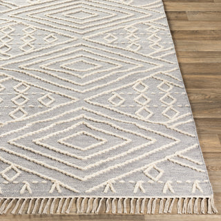 Surya Bedouin BDO-2301 Area Rug