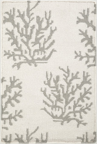 Surya Boardwalk BDW-4007 Light Gray Area Rug by Somerset Bay 