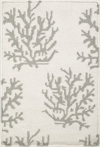 Surya Boardwalk BDW-4007 Area Rug by Somerset Bay