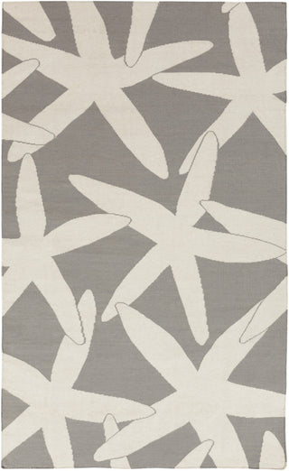 Surya Boardwalk BDW-4011 Light Gray Area Rug by Somerset Bay 