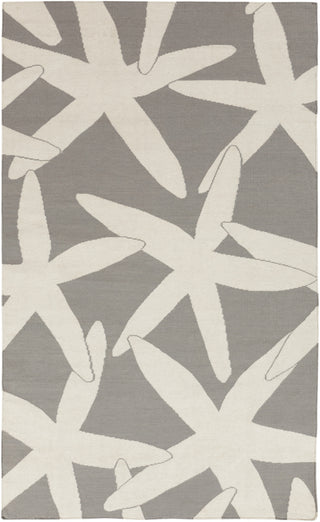 Surya Boardwalk BDW-4011 Area Rug by Somerset Bay