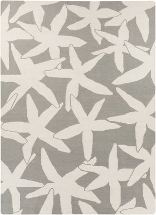 Surya Boardwalk BDW-4011 Light Gray Area Rug by Somerset Bay 