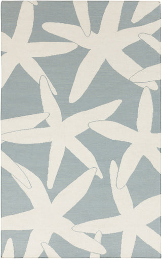 Surya Boardwalk BDW-4013 Sky Blue Area Rug by Somerset Bay 