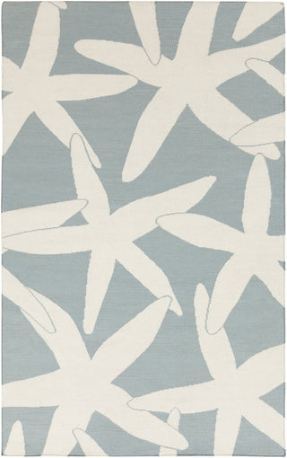 Surya Boardwalk BDW-4013 Area Rug by Somerset Bay