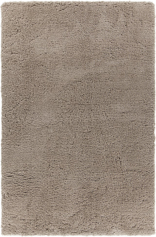 Chandra Bella BEL-51401 Tan Area Rug main image