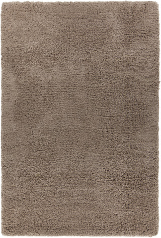 Chandra Bella BEL-51402 Brown Area Rug main image