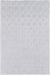 Belvoire BEL-3000 Gray Area Rug by Surya 6' X 9'