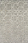 Belvoire BEL-3001 Gray Area Rug by Surya 6' X 9'