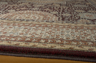 Momeni Belmont BE-03 Brown Area Rug Closeup