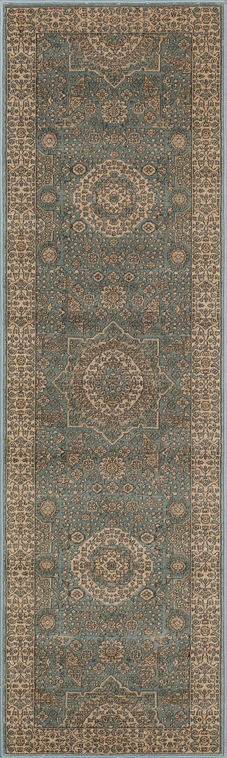 Momeni Belmont BE-03 Light Blue Area Rug Closeup