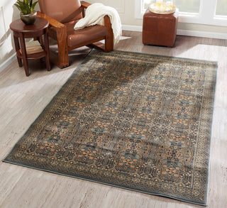 Momeni Belmont BE-07 Light Blue Area Rug Main Image Feature